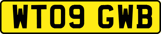 WT09GWB