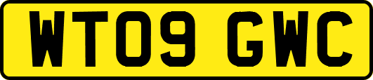 WT09GWC