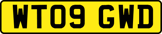 WT09GWD