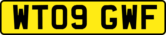 WT09GWF