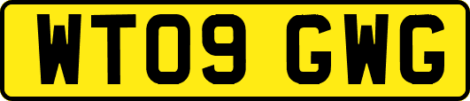 WT09GWG