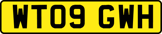 WT09GWH