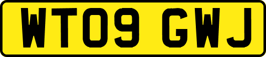 WT09GWJ