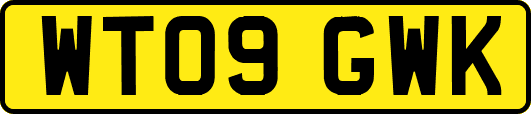WT09GWK
