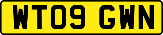 WT09GWN