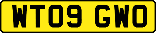 WT09GWO
