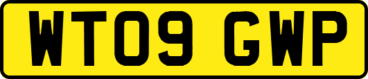 WT09GWP