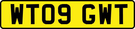 WT09GWT