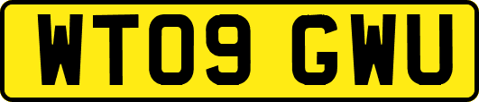 WT09GWU