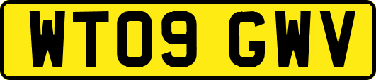 WT09GWV