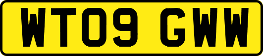 WT09GWW