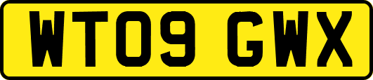 WT09GWX