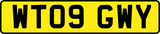 WT09GWY