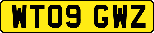 WT09GWZ