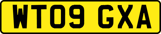 WT09GXA