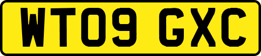 WT09GXC