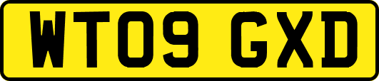 WT09GXD