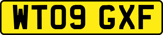 WT09GXF