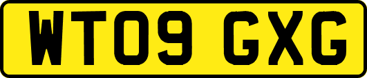 WT09GXG