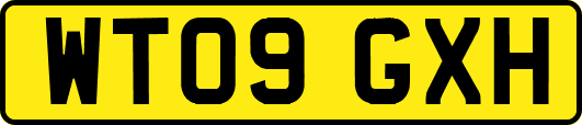 WT09GXH