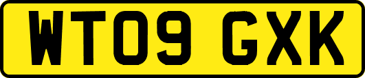 WT09GXK