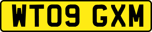WT09GXM