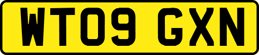 WT09GXN