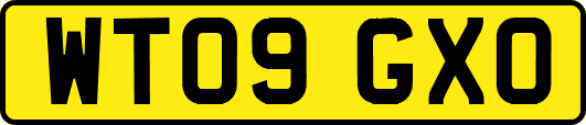 WT09GXO