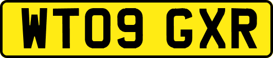 WT09GXR