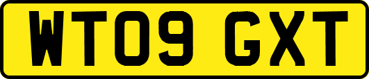 WT09GXT