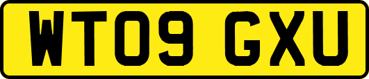 WT09GXU