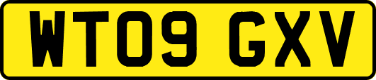 WT09GXV
