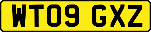 WT09GXZ