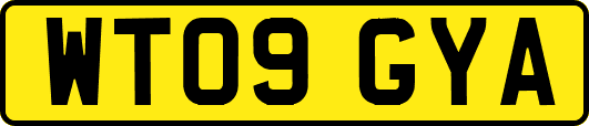 WT09GYA