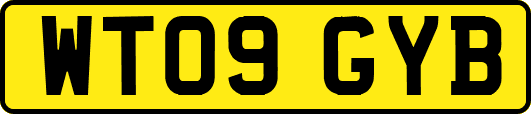 WT09GYB