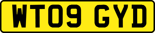 WT09GYD