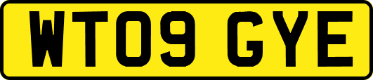 WT09GYE