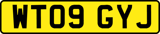 WT09GYJ