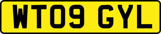 WT09GYL