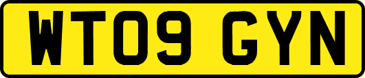WT09GYN