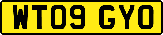 WT09GYO