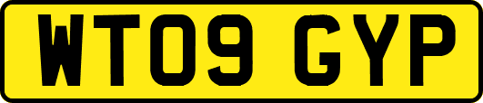 WT09GYP