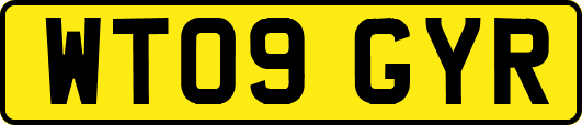 WT09GYR