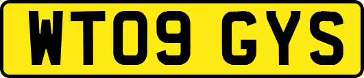 WT09GYS