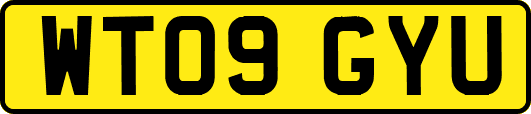 WT09GYU