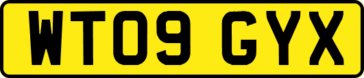 WT09GYX