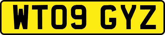 WT09GYZ