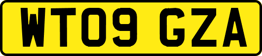 WT09GZA