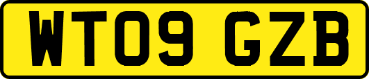 WT09GZB