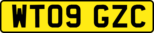 WT09GZC